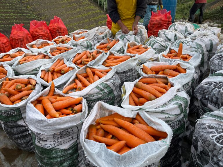 ciudadanía alimentaria